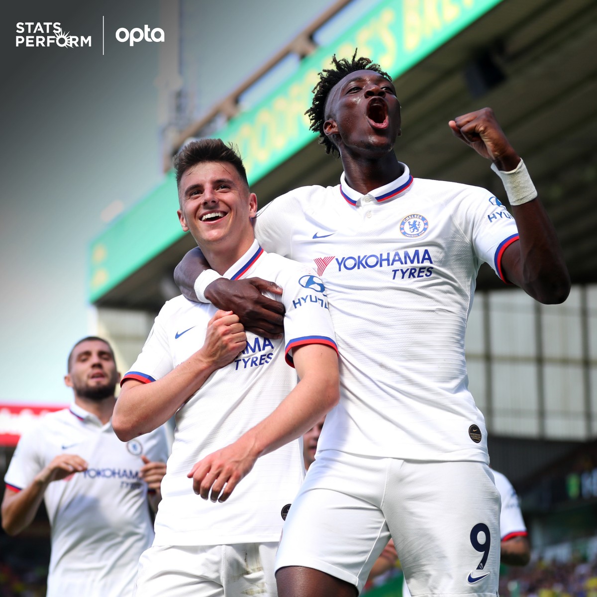 在所有观众 在所有观众